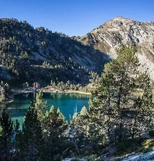 La Bergerie *