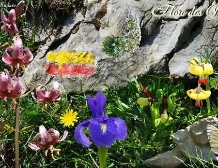 Holiday home La Bergerie *